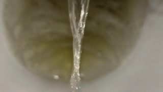 ULTRA CLOSE-UP GOLD PISS ACTION - LEAKS FROM MY PEE HOLE AND PAYS VISIT TO TOILET HD 4K