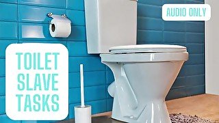 Toilet Slave Tasks - Audio Only!!