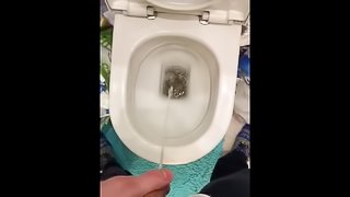 Peeing in messy bathroom