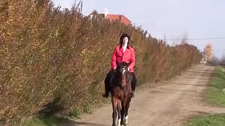 Judi uses a massive sex toy to masturbate in front of a horse