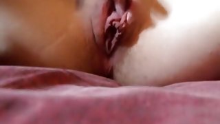Girl rubs the clitoris of her shaved pussy closeup and gets an orgasm