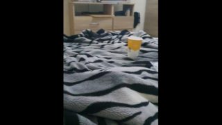 Step son caught jerking off under blanket by step son 