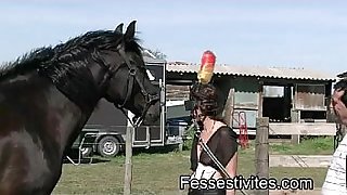 Pony-girl en Camargue