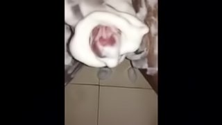 Boy mastrubates covered in foam and licks his tasty cum