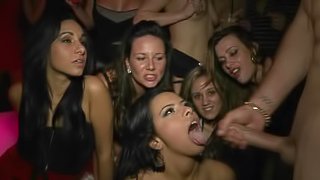 A Whole Bunch Of Hot Gals In A Crazy Fuck Fest