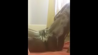 Just showing a little