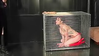 Naked girl in a cage has big tits