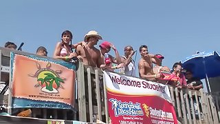 Amateur bitches wearing bikinis flash their tits on a beach
