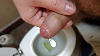 Piss and cum in public toilet