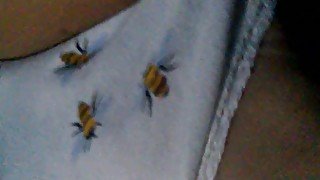 bumblebee panties masturbation