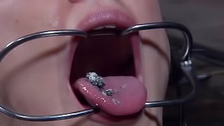 Tattooed Hailey Young pussy clipped lovely in BDSM