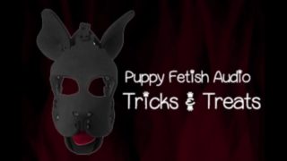 The Puppy Fetish Audio Version