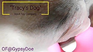 Tracy's Dog Pro 2 Clit Sucker Makes My Huge Clit Throb
