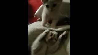 playing with a cute young pussy . . .