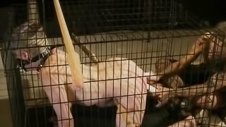 Gagged And Caged Short Haired Blonde Has Pussy Pummelled