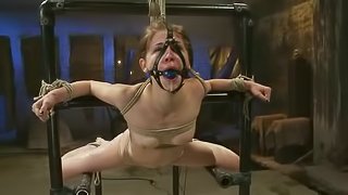 Brown-haired sweety gets bonded and toyed in bondage vid