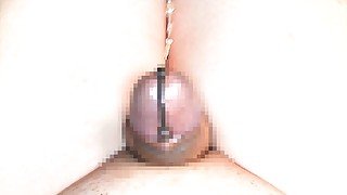 貫通式メタルブジーを挿入して乳首オナニー。乳首イキとドライオーガズムと潮吹き。Nipple masturbation by inserting a penetrating metal probe.