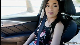Driver picks up and fucks uninhibited brunette with small tits Savannah Sixx