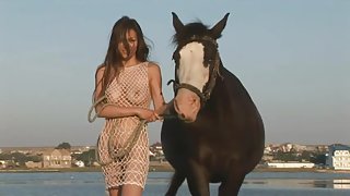 Lovely babe is riding horse