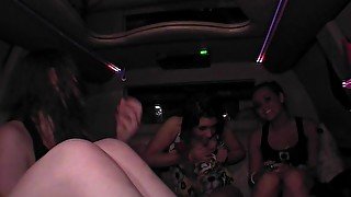 Me Getting Some Action From Slutty Girl in My Friends Limo, One Percent Problems