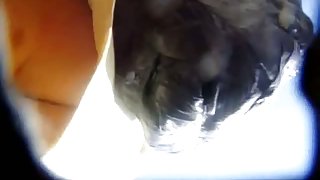 Rare and loose voyeur sight of a bare pussy upskirt tape in the summer