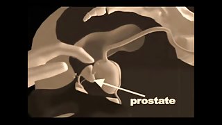 Prostate Massage Techniques