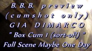 B.B.B. preview: Gia DiMarco "Box Cum 1 (sort-of!)" cum only AVI noSloMo