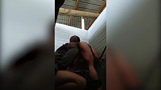 Thick rugby stud tied up and made to cock worship college jock in public toilets