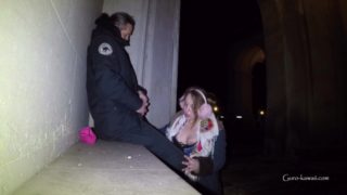 LNÂ's#50 Christiansborg, Copenhagen Landmark, hot cute babe public blowjob