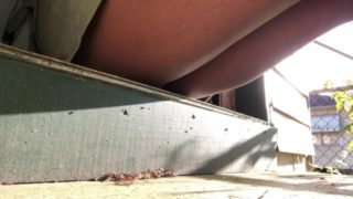 Piss and Cum on Porch while neighbor watched