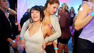 Lovely chicks expose their juicy tits and tight bras in a club's party