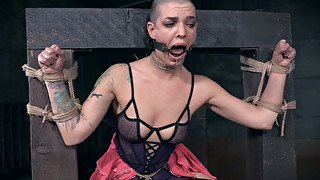 Heavily restrained bald chick Abigail Dupree loves hard BDSM