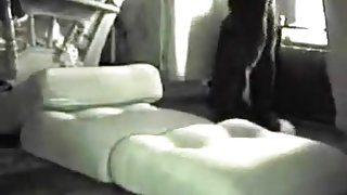 giovane tettona italiana succhia il cazzo del fidanzato e gode un intenso orgasmo da carpet munch