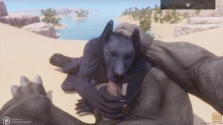 Wild Life / Black Wolf gets Pounded POV Furry