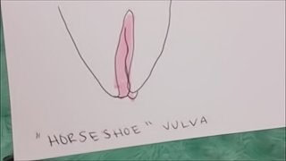sex ed, all vaginas are unique