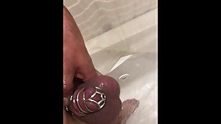 Rock hard cock caged in a shower chastity