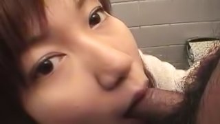 Innocent Asian babe is sucking a tasty horny dick