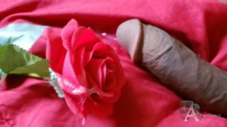 cumming on a rose cock tease