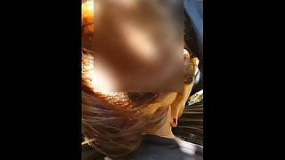 Short video of hooker sucking my cock