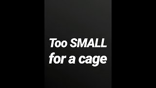 Too small for a cage SPH JOI AUDIO ONLY
