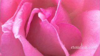 You Blossom - Erotic Freeverse - Performed by Eve's Garden