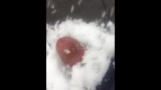Cock snow. Public 