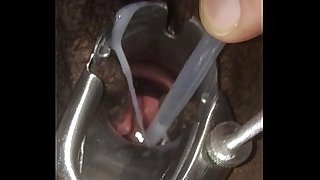 Black Female Breeded / Inseminated by White Male Video 9