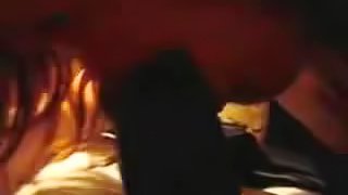 Homemade POV video of a hot brunette babe sucking big black cock