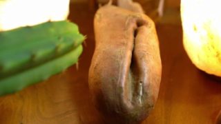 Sweet Potato Vagina Fucking the Pain Away with a Cactus