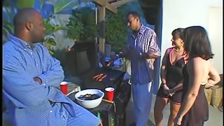 Horny brunettes are fucked by big black cocks in interracial foursome