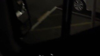 Young Kiwi MILF gets Fucked in nzDan's Van at Auckland City Viaduct