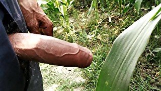 Indian big cock pissing in field public area
